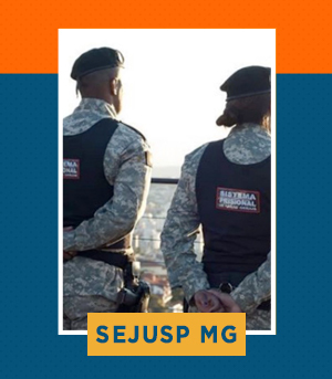 Pacote completo para Assistente Executivo de Defesa Social - Auxiliar Educacional da SEJUSP MG
