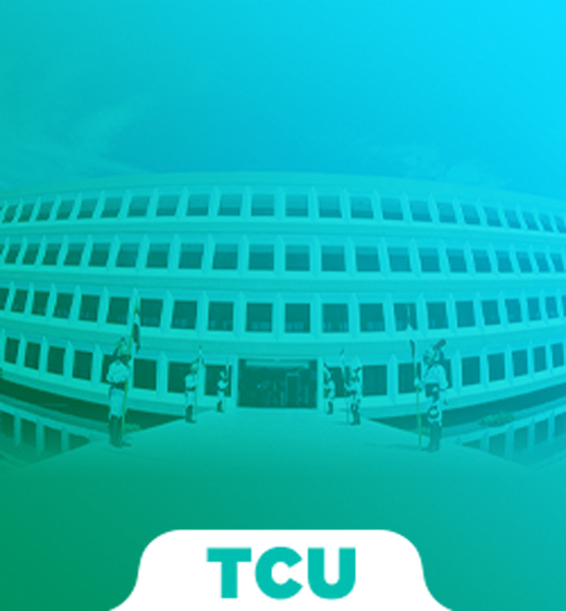 Pacote de conhecimentos básicos para Auditor Federal de Controle Externo do TCU